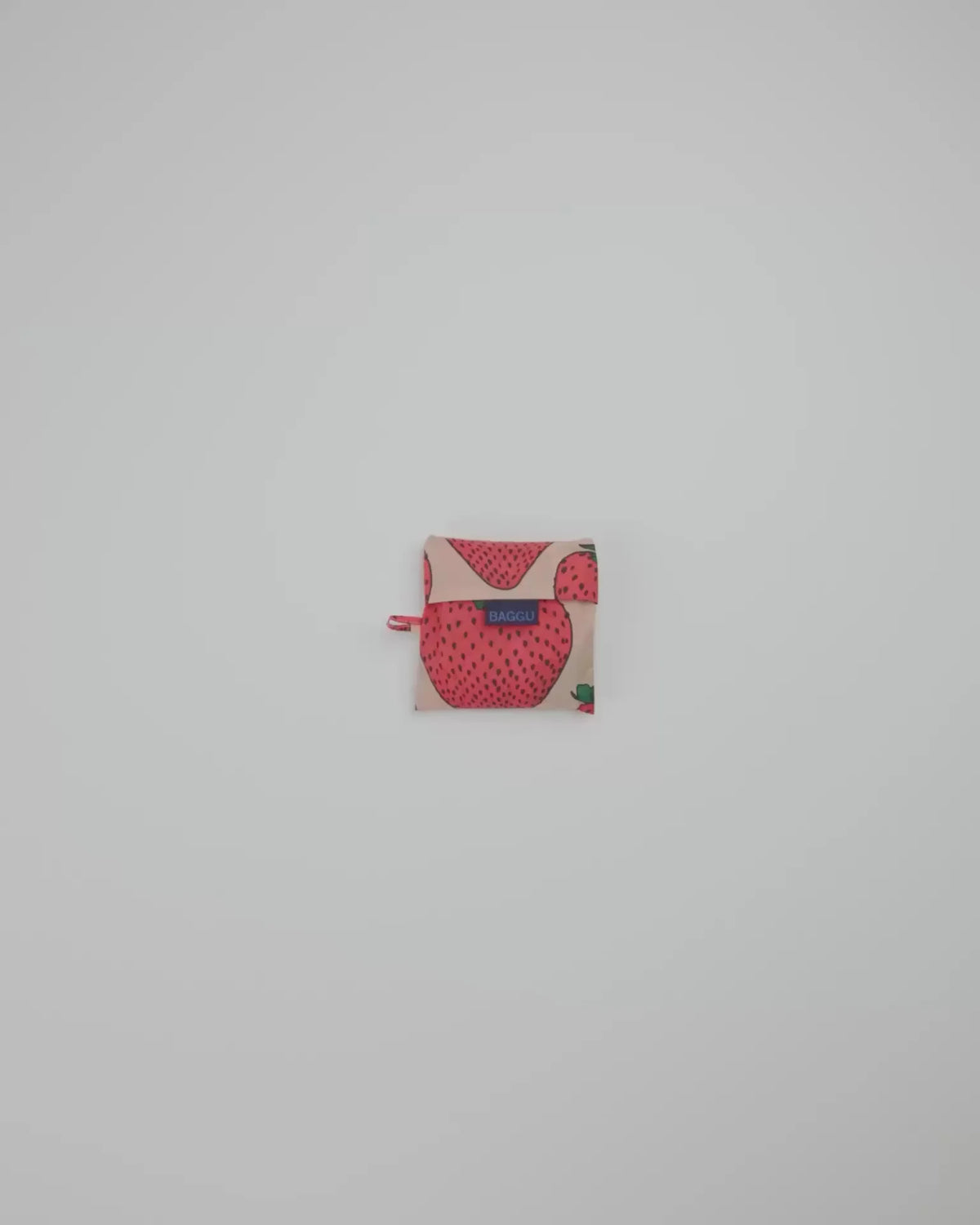 STANDARD BAGGU - US 5708
